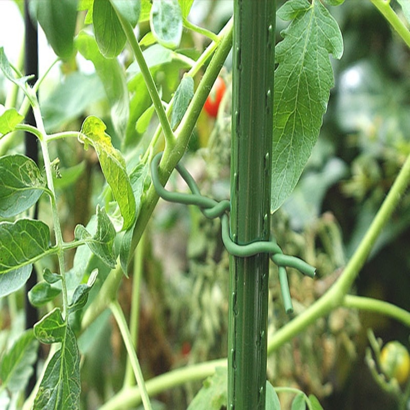 Metalen Ijzerdraad Tuin Groente Bloem Tak Bundel Plastic Plant Zachte Tie Draad Gebonden Tak Flexibele Draad Diy Tuin Gereedschap