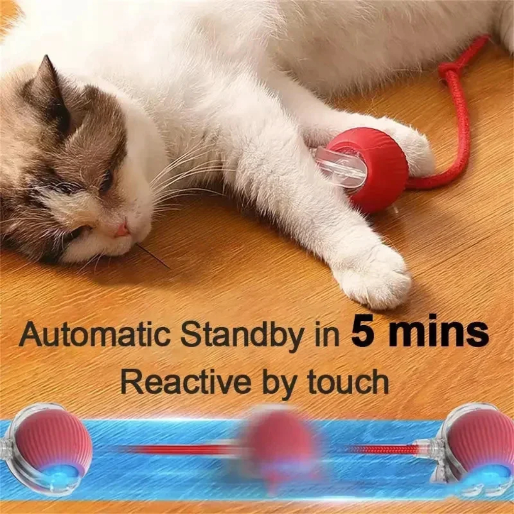 Bola rodante automática interactiva inteligente recargable para mascotas, productos para mascotas, juguete eléctrico con pelota para perros, cola simulada para gatos