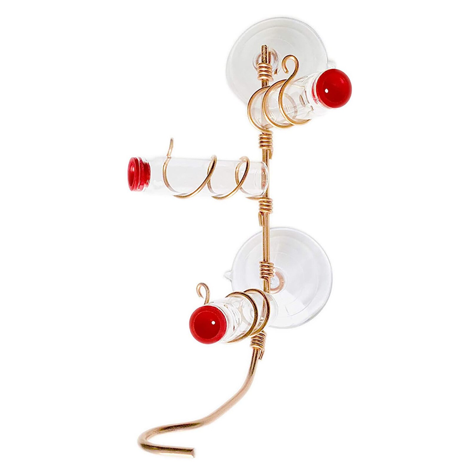 Innovative Suction-cup Hummingbird Feeder Parrot Lovebird Pigeon Hanging Viewing Feeding Tool Container Pet Supplies Accessories: C