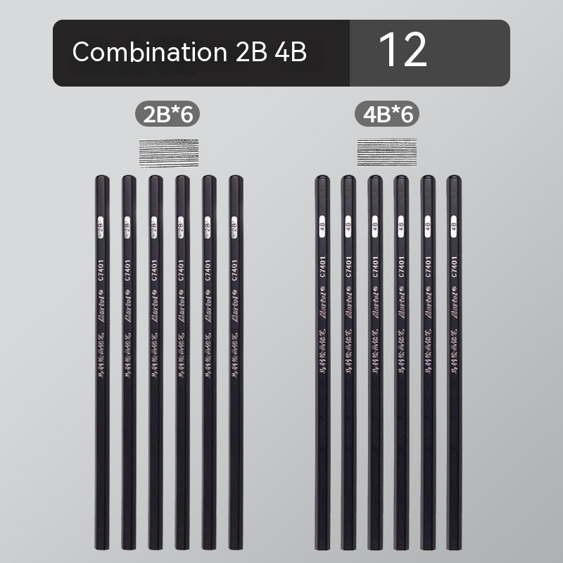 12Pcs 2H HB B 2B 3B 4B 5B 6B 7B 8B 12B 14B Sketch Drawing Graphite Shading Charcoal Pencils Set Sketching for Artists Beginners: Lavender