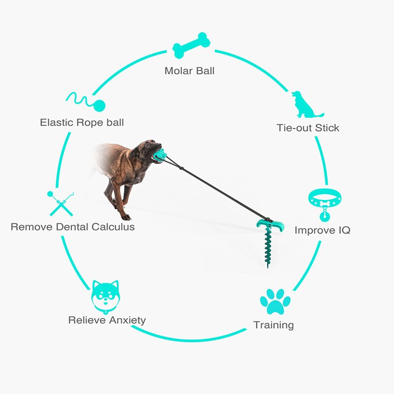 Enjeux de formation Portable chien laisse Pile cravate bâton chien mâcher jouet élasticité chien chaîne pour Camping en plein air arrière-cour laisse pour animaux de compagnie