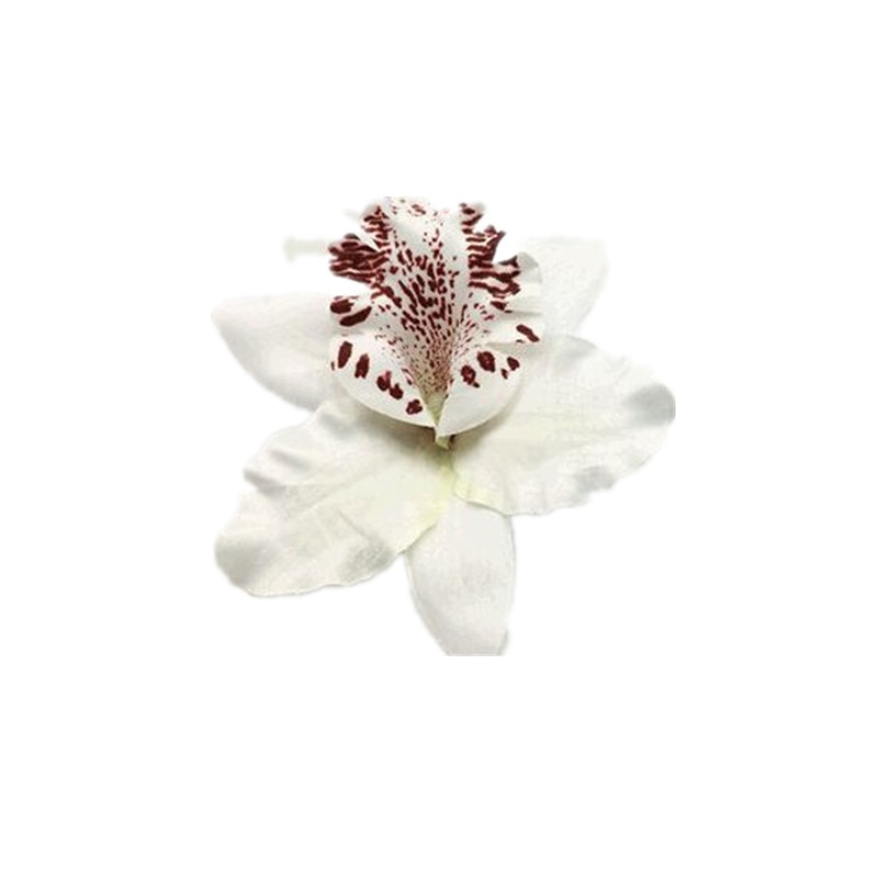 Free Women Summer Bohemia Beach Thai Lily Orchid Flower Hair Clip Bridal Wedding Headwear Ornaments Accessories: WHITE