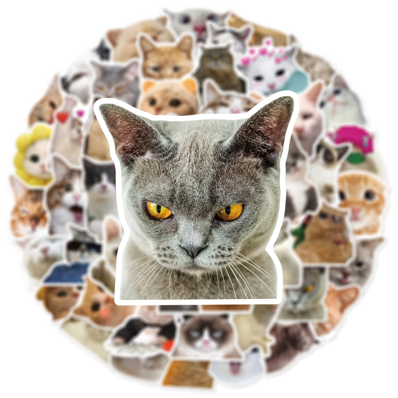 10/30/50 PIÈCES À La Mignon Dessin Animé Réaliste Chat Graffiti Tasse Décoration Intérieure BRICOLAGE Étanche PVC Autocollant PersonaliToys