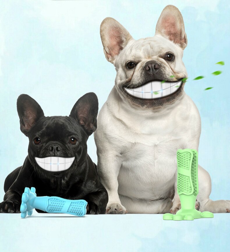 Hundleksak hund tugga leksaker hundtandborste husdjur molar tand rengöring borststicka vovve valp tandvård hund husdjursutrustning