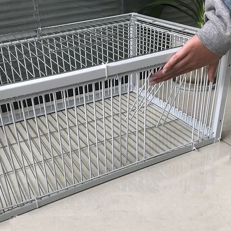Piège à oiseaux pour pigeons galvanisé pliable au milieu, Cage pour pigeons furaux, voie humaine avec l'entrée unidirectionnelle, piégeage des pigeons, des colombes dans les cages