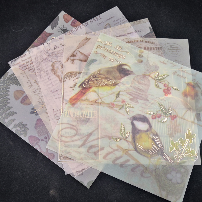 Zfparty Vintage Vogel Achtergrond Velijn Papier St... – Vicedeal