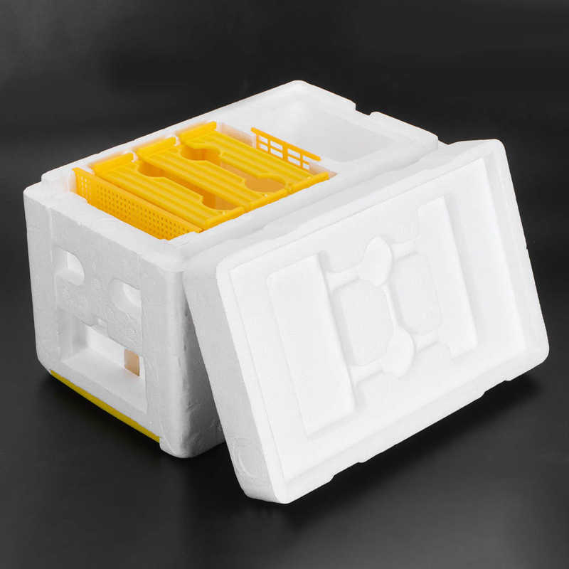 Mini ruche transparente pour abeilles, boîte d&#39;accouplement pour abeilles, pollinisation, mousse haute densité, équipement pour apiculture, marqueur