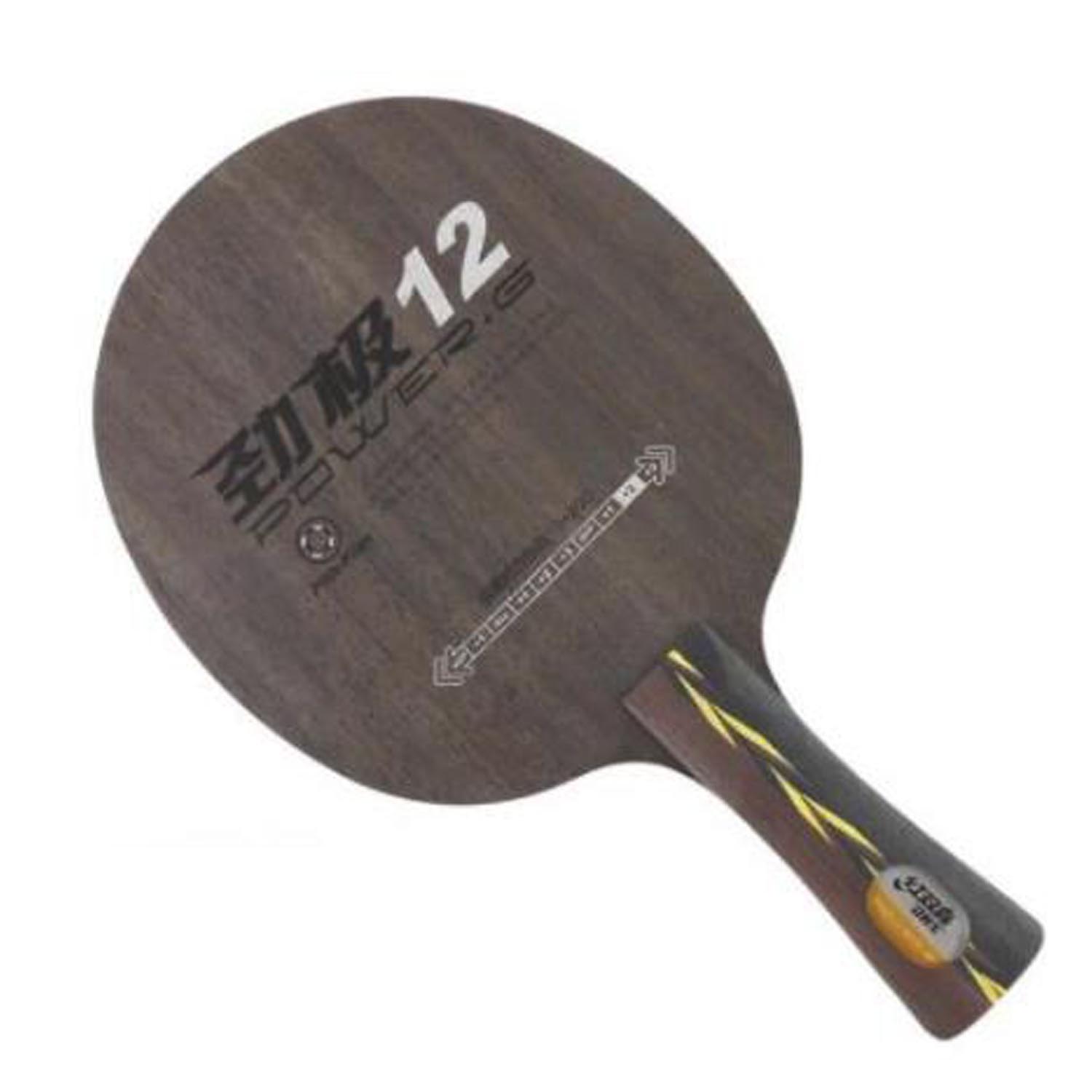 DHS POWER-G 12 PG 12 (5+2 Glass Carbon) Table Tennis Blade Racket Ping Pong Bat Paddle