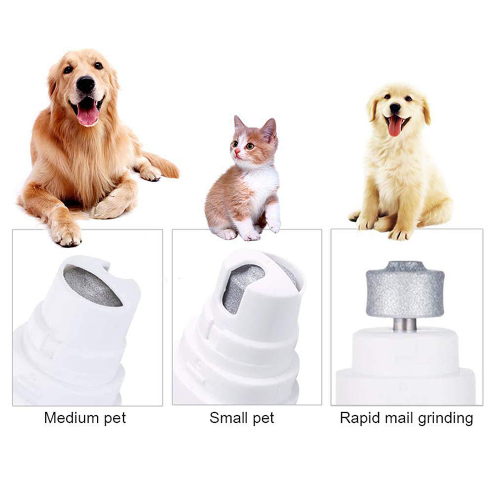 Dremel PawControl Chien Nail Grinder-Safe & Humane Guadeloupe