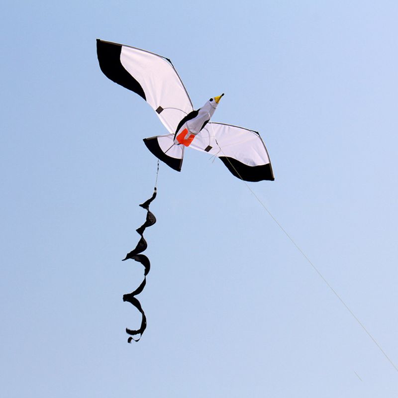 3d måge kite single line flyvende drager med hale og håndtag til voksen og barn