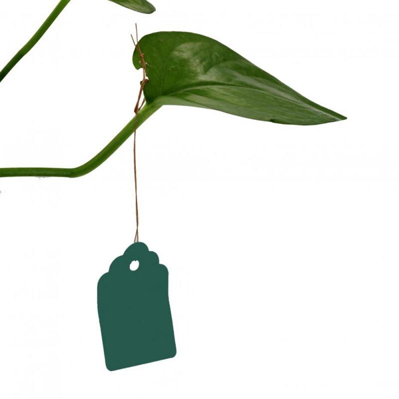 100pcs Plants Hang Tag Labels And Brands Seedling Garden Flower Pot Plastic Tag Number Plate Hanging Reusable: 2