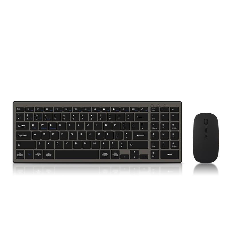 Ajiuyu Bluetooth Toetsenbord Voor Lenovo Thinkpad Dell Hp Asus Acer Samsung Lg Huawei Oppervlak Laptop Notebook Tablet 2.4G Draadloze: Black Mouse