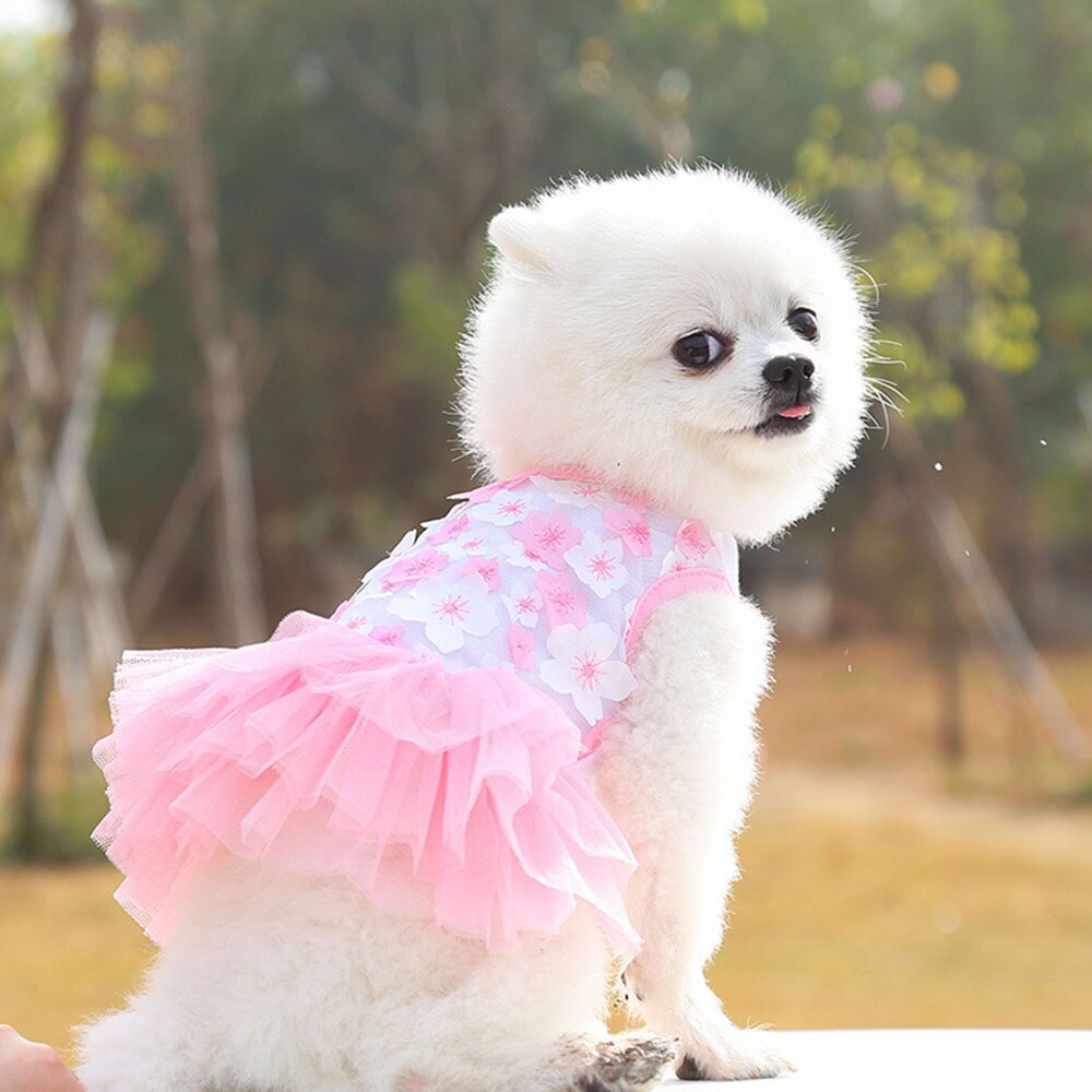 Lace Chiffon Dress for Small Dog Cat Lovely Floral Dress Pet Party Birthday Costume Dog Wedding Dress Cute Dog Clothes in Summer: Pink / XL