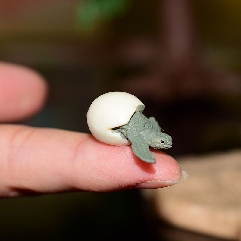 Miniatuur Oceanen Diermodel Schildpad Alligator Walvis Haai Dolfijn Pinguïn Clownfish Kikker Zee Wereld Mini Figurine Decor Speelgoed