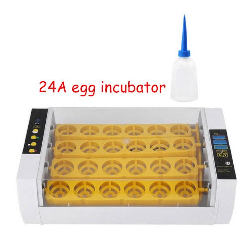 Couveuse d&#39;œufs intelligente HHD 2, incubateur d&#39;œufs Transparenment autique à lumière LED, couveuse pour poules, cailles et oies: YZ-24A / 110V