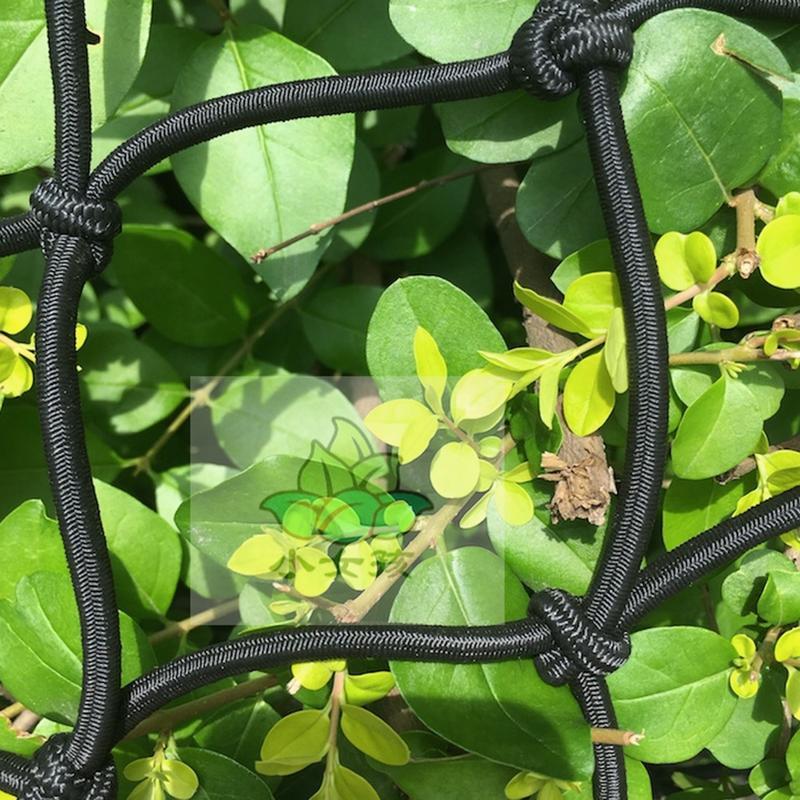 21 net espalier elastisk espalieret med 4 stålkroge til voksetelte have til plantedyrkning i plantetelte