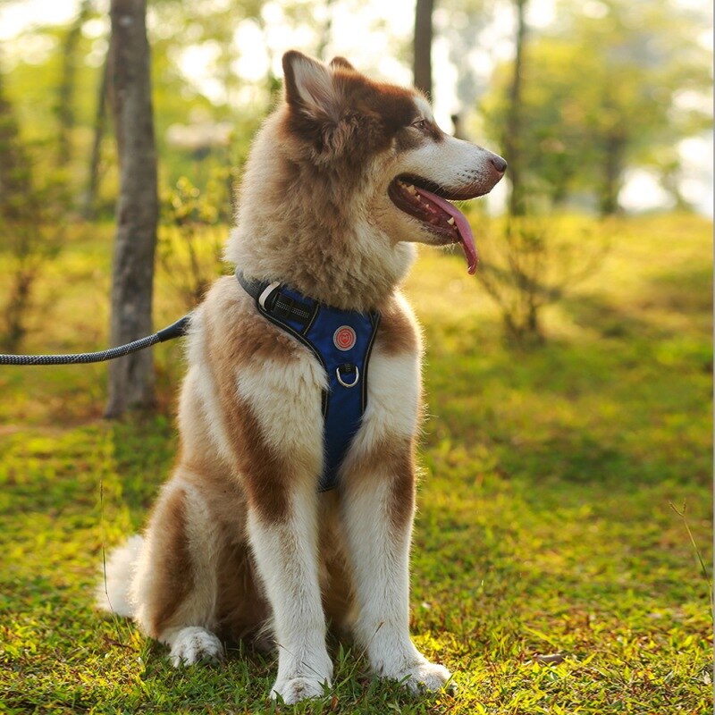 Nylon Pet Dog Harness French Bulldog Harness.Puppy Small Dogs.Harnesses Adjustable Pet Dog.Chest Strap Pet Dog Accessories