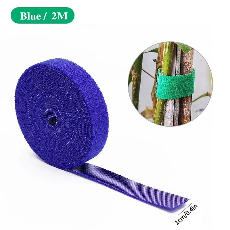 Cordel de jardín verde para plantas, lazos de nailon para plantas, gancho de jardín, lazo, envoltura de caña de bambú, soporte, accesorios de jardín, 2M: Azul