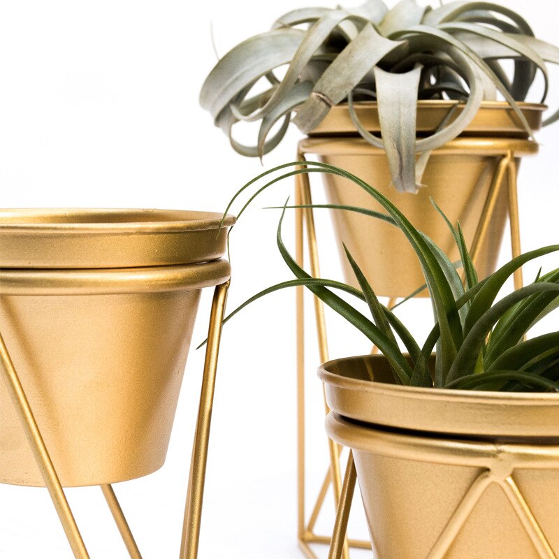 Art fleur support café salon bureau boutique bureau décoratif Pot de fleur Mini charnu vert végétation Pot de fleur