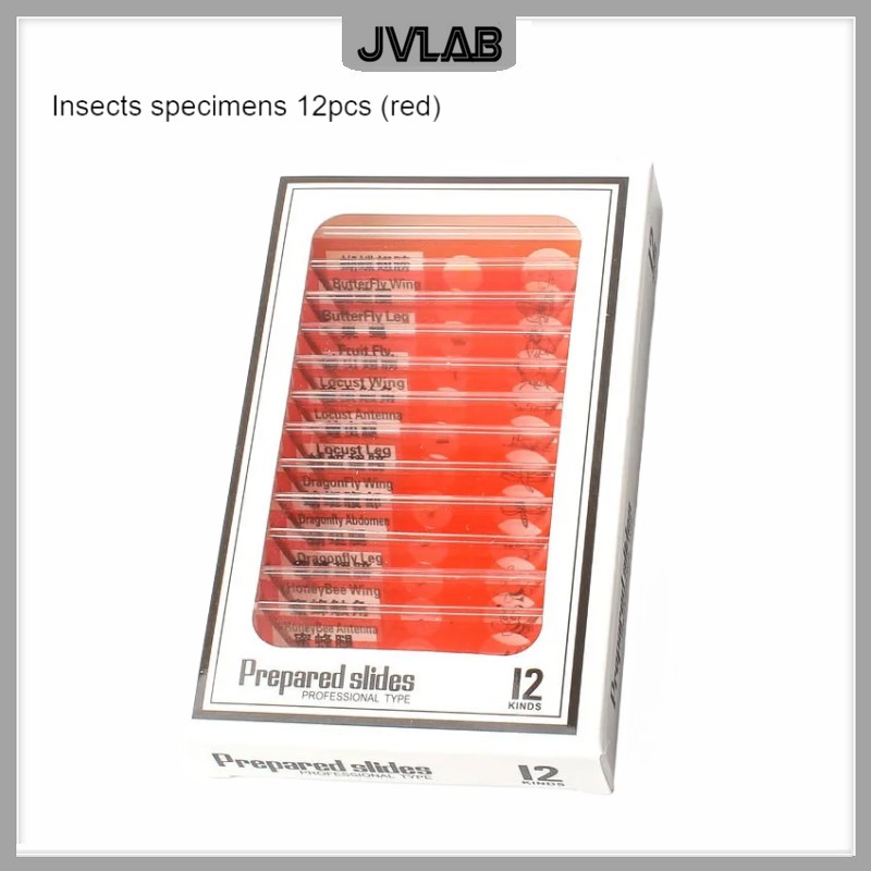 Microscope Slides 12 Children's Standard Microscope Special Plastic bio-slice Specimen Animal Insect Plant Flower Sample Slice