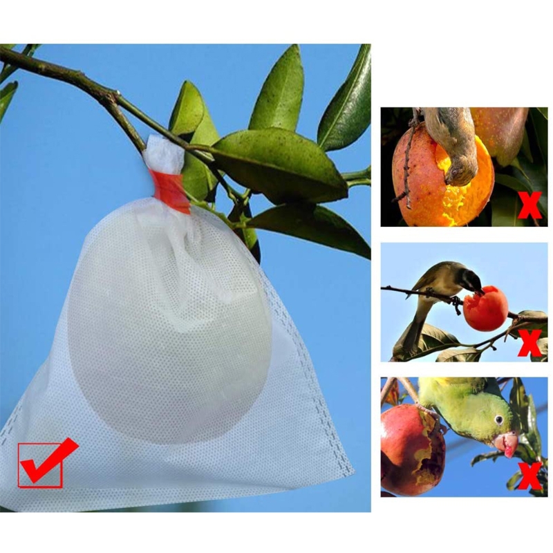 Bolsas de protección para frutas de 200 piezas, bolsa de red reutilizable, barrera contra insectos, aves, para proteger frutas, uvas, pera, 7x8 pulgadas