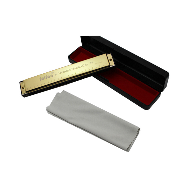 Harmonica 24 Holes Metal Key Of C Blues Mouth Organ Beginner Musical Instrument Harp Harmonium Blues Clues: Gold