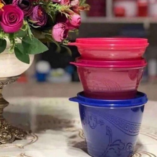 Hsgl Tupperware Classic Set Mini (contenedor de almacenamiento)