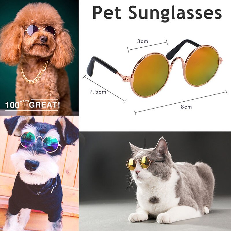 AlfPetpig occhiali per animali domestici divertenti per cani e gatti occhiali da sole foto oggetti di scena accessori per animali occhiali rotondi articoli per gatti