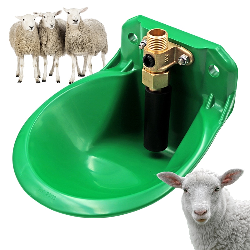 Abreuvoir automatique en cuivre pour mouton et chèvre, fontaine à eau de , équipement d&#39;alimentation pour bétail, mouton, chien, animaux de ferme