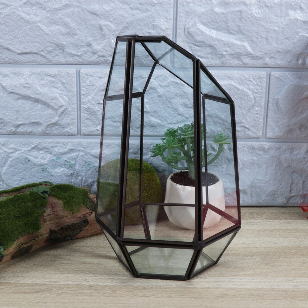1PC Clear Glass Geometric Terrarium Tabletop Succulent Plant Box Planter Landscape DIY Home Decoration: Default Title