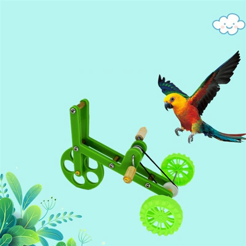 Juguete divertido para loros, bicicleta de entrenamiento de aves, accesorios de entrenamiento para loros, juguete para loros
