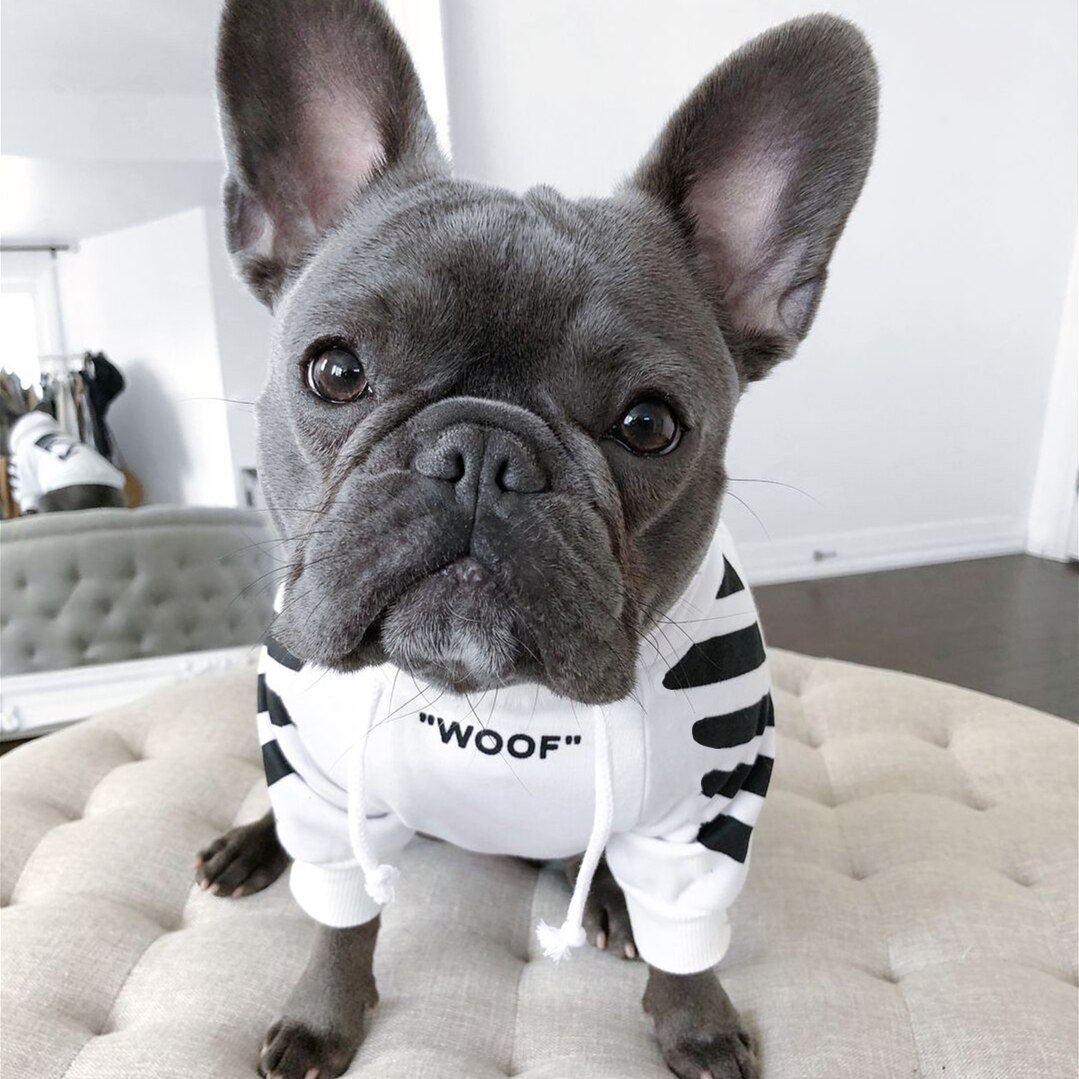 Französisch Bulldogge Kleidung Hund Hoodie Adidog Warme Sport retro Hund Hoodies Haustier Kleidung Welpen Hund Möpse Welpe Kleidung Chihuahua: Weiß / XXL-Brust-56-61cm