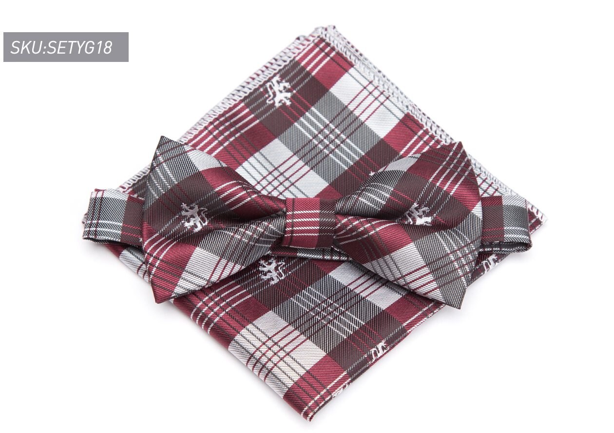 Costume pour hommes à motifs de Paisley | Ensemble noeud papillon ajustable, col, gravata, robe de mariage, fête, Jacquard, papillon: SETYG18