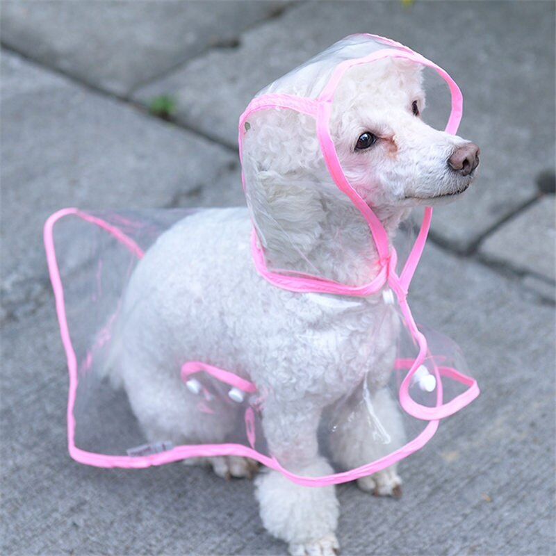 Dog Raincoat-Pink- (Medium)