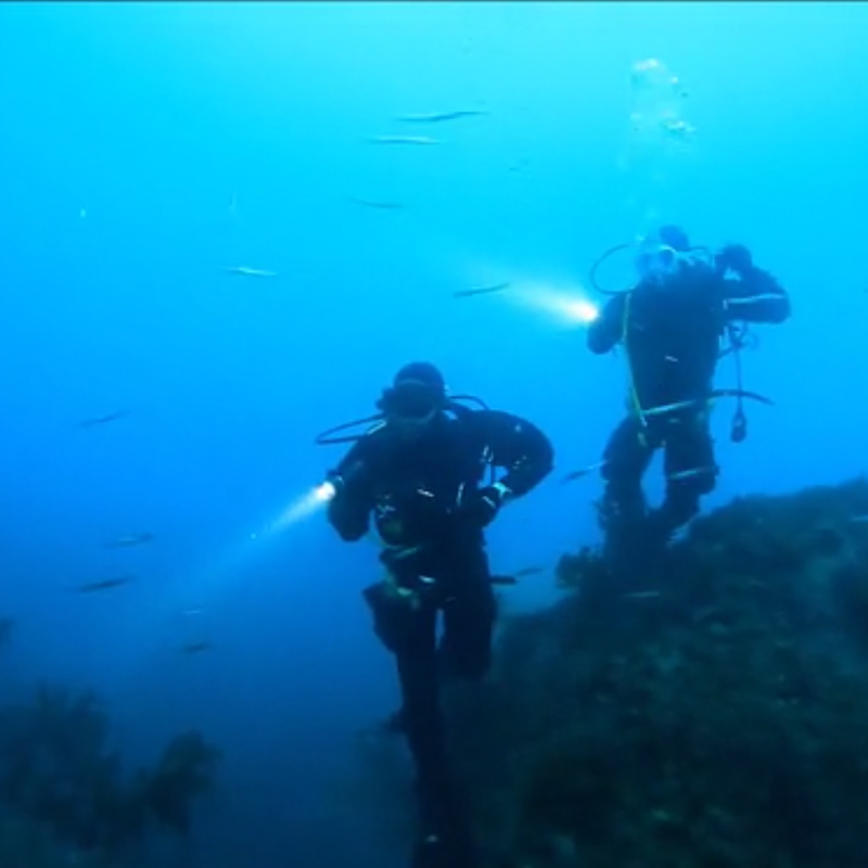 2000LM T6/ Q5 LED Waterproof scuba Diver Diving Flashlight underwater Flash Light Torch