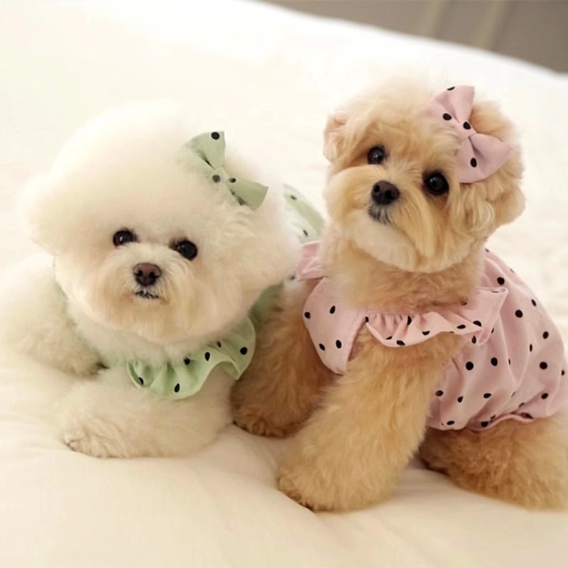 Sommer Dot Haustier Hosenträger Hund Kleid Luxus Welpen Rock Chihuahua Bichon Kleine Hund Weste Hund Bekleidung Katze Kleidung Mädchen Hund Kleidung