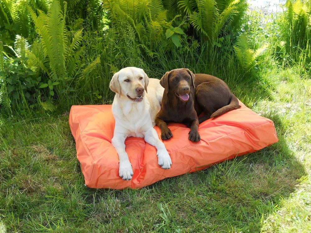 EXTRA large 100cm x 70cm x 20cm size dog bean bag sofa beds, pet beanbag cushion,waterproof and tear repellent beanbag bedding: orange