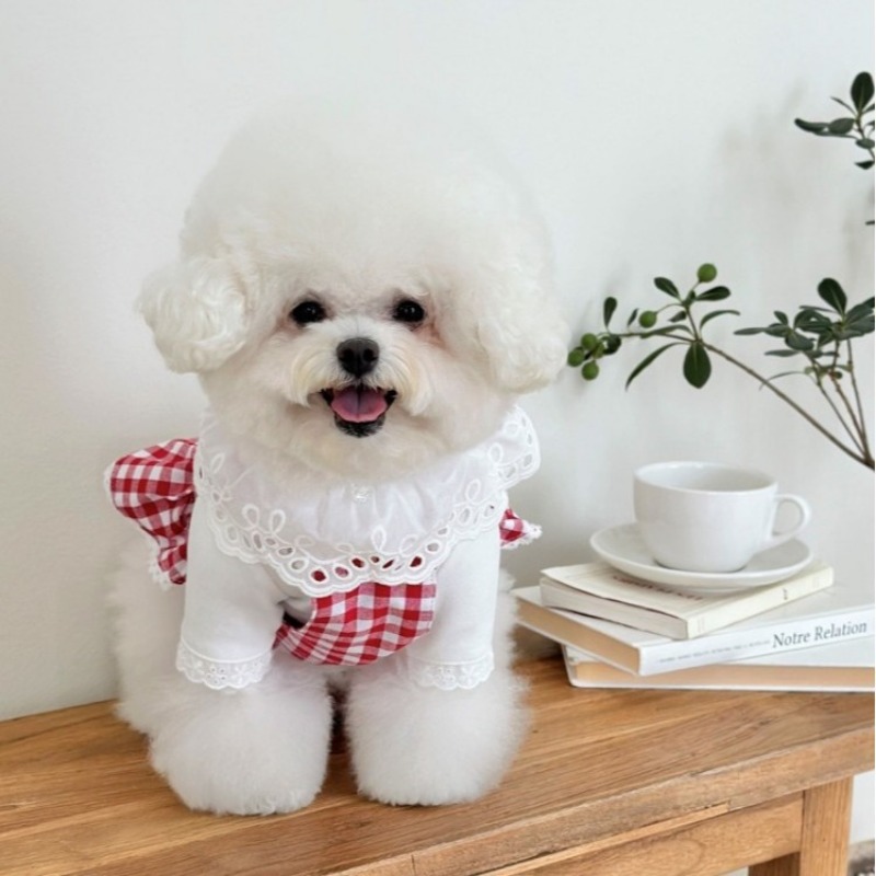Pet Garden Style Retro prinsessenjurk Rode geruite hondenjurk met borst en rug kan worden getrokken en kleine huisdierjurk voor de zomer