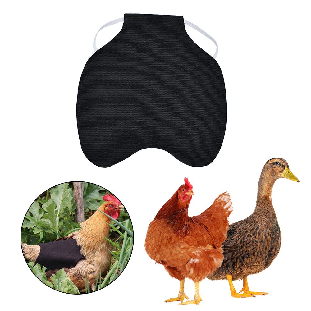 Høne kylling sadel forklæde fjer rygbeskytter enkelt rem standard kylling jakker fjerkræ vest beskyttelse holder: Sort