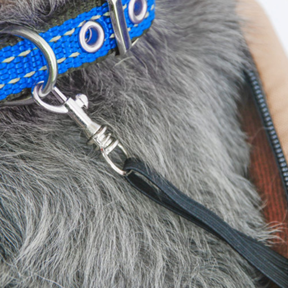 Grand sac à bandoulière de transport pour chat, sac de voyage pour petit chien, sac à dos pour animal de compagnie