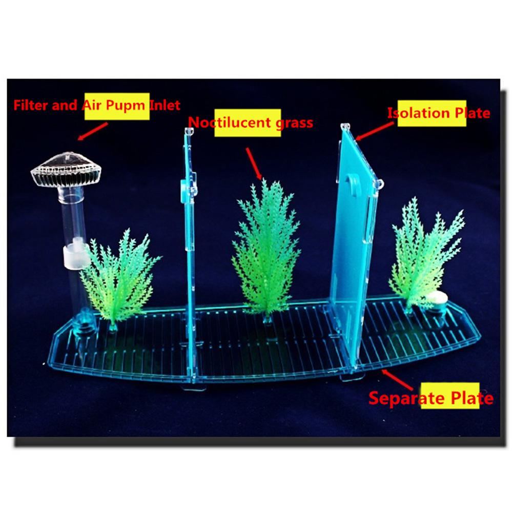 Led lys akryl tre splitter betta fiskeskål trippel bue kamp isolasjon rase boks for akvarium
