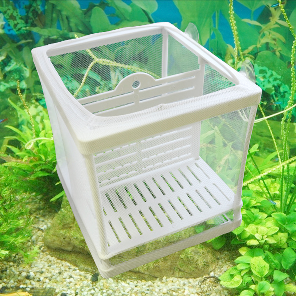 Aquarium Broederij Aquarium Incubator Net Met Zuignap Vis Isolatie Fokken Netto Doos Voor Baby Vissen Clownvis Guppy Wit