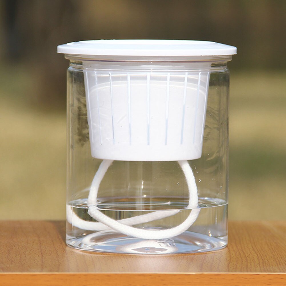 Clear Automatic Water Absorption Self Watering Hydroponic Flower Pot Planter Home Office Decorative