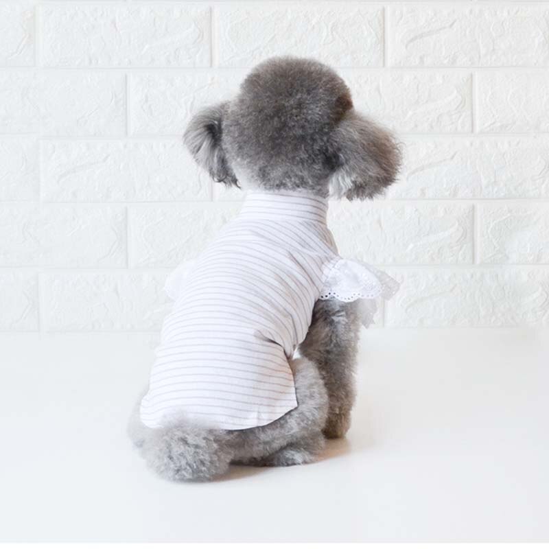 Vêtements pour chiens printemps et été vêtements pour chiens vêtements pour animaux de compagnie petit chien vêtements chien vêtements de fond chiot vêtements quatre saisons