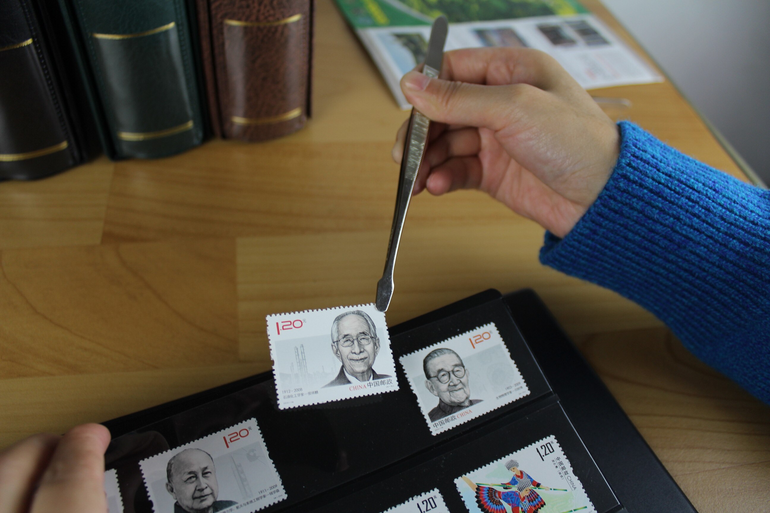 Vario frimærkeindsamlingsside philatly beskyttende ark posesort frimærke lager side plast til ringbind