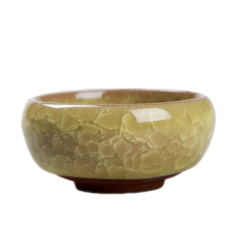 Maceta de cerámica vidriada con grietas, planta de macetas flor suculenta, maceta para hogar, oficina, escritorio, planta de decoración: Amber yellow