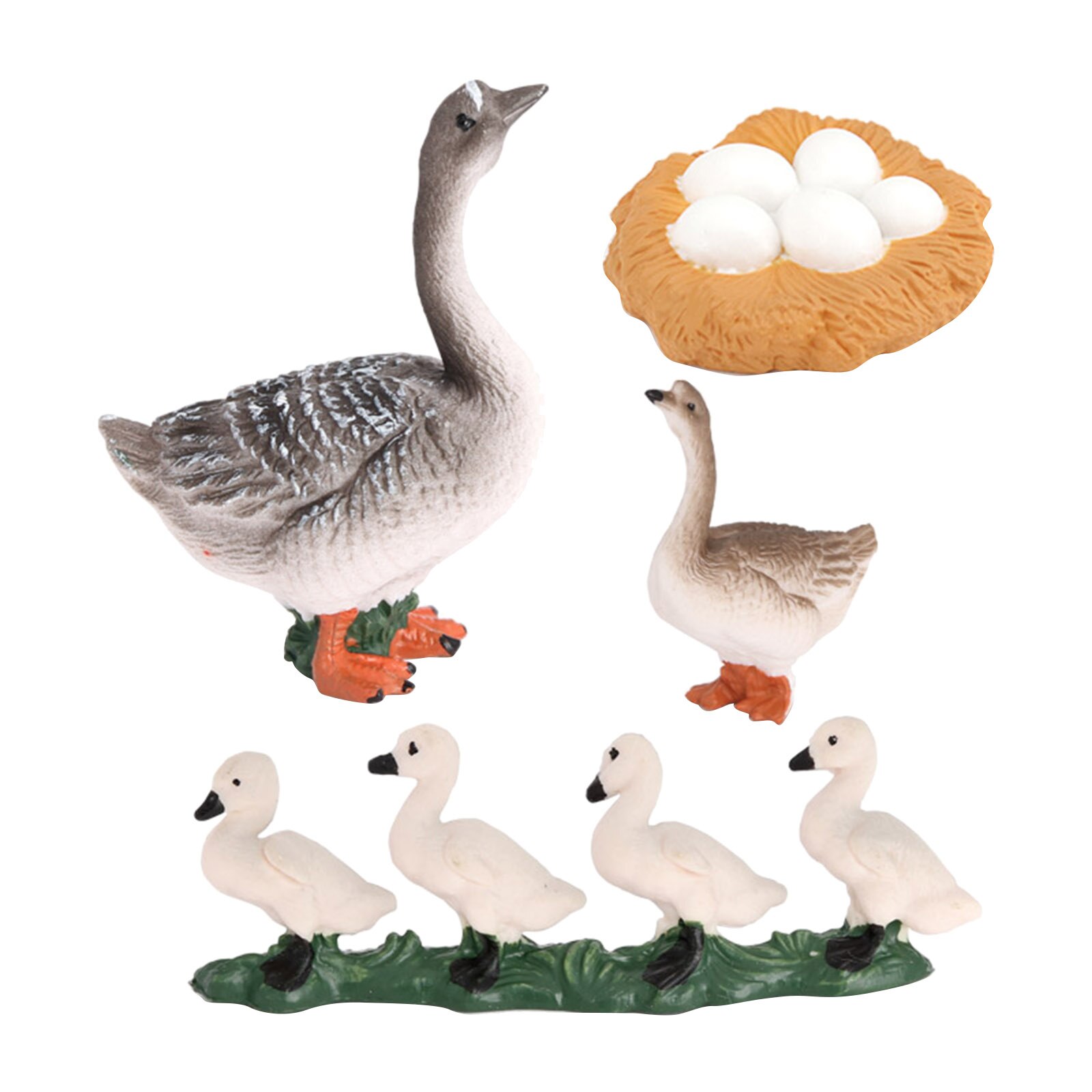 4 Stage Animal Growth Cycle Model Life Cycle of Goose Children Imagination