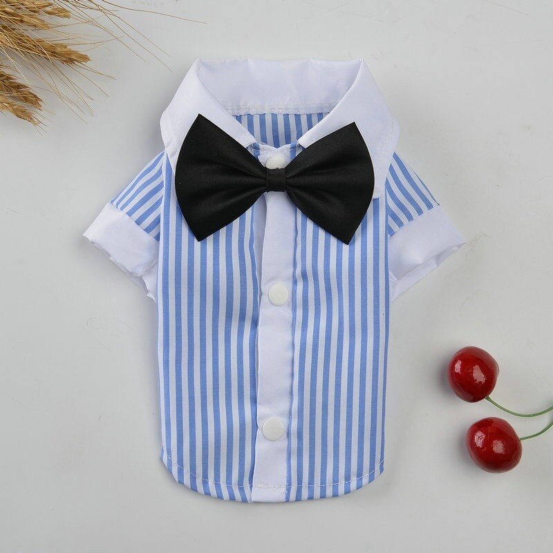 Ropa de Perro, estilo británico, traje de pareja Para perros, camisas a rayas, Bowknot, cachorro pequeño, primavera Otoño, Ropa azul de dos patas Para Perro: 2 / XS