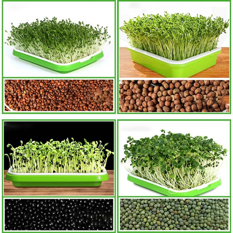 Seed Sprouter Tray BPA Free PP Soil-Free Wheatgrass Grower Lid Plate Hydroponic