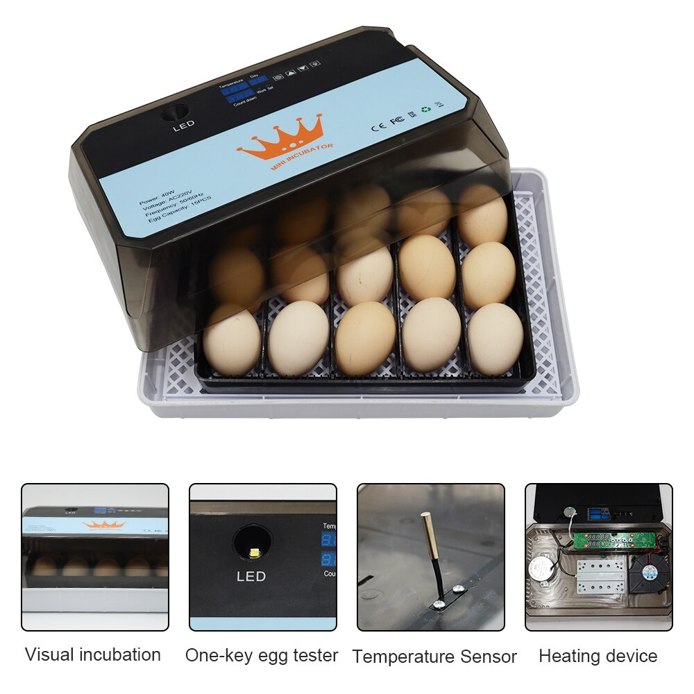 Mini incubadora automática de 15 huevos para pollo, Ganso, pájaro, codorniz, equipo de incubación, herramientas de incubación
